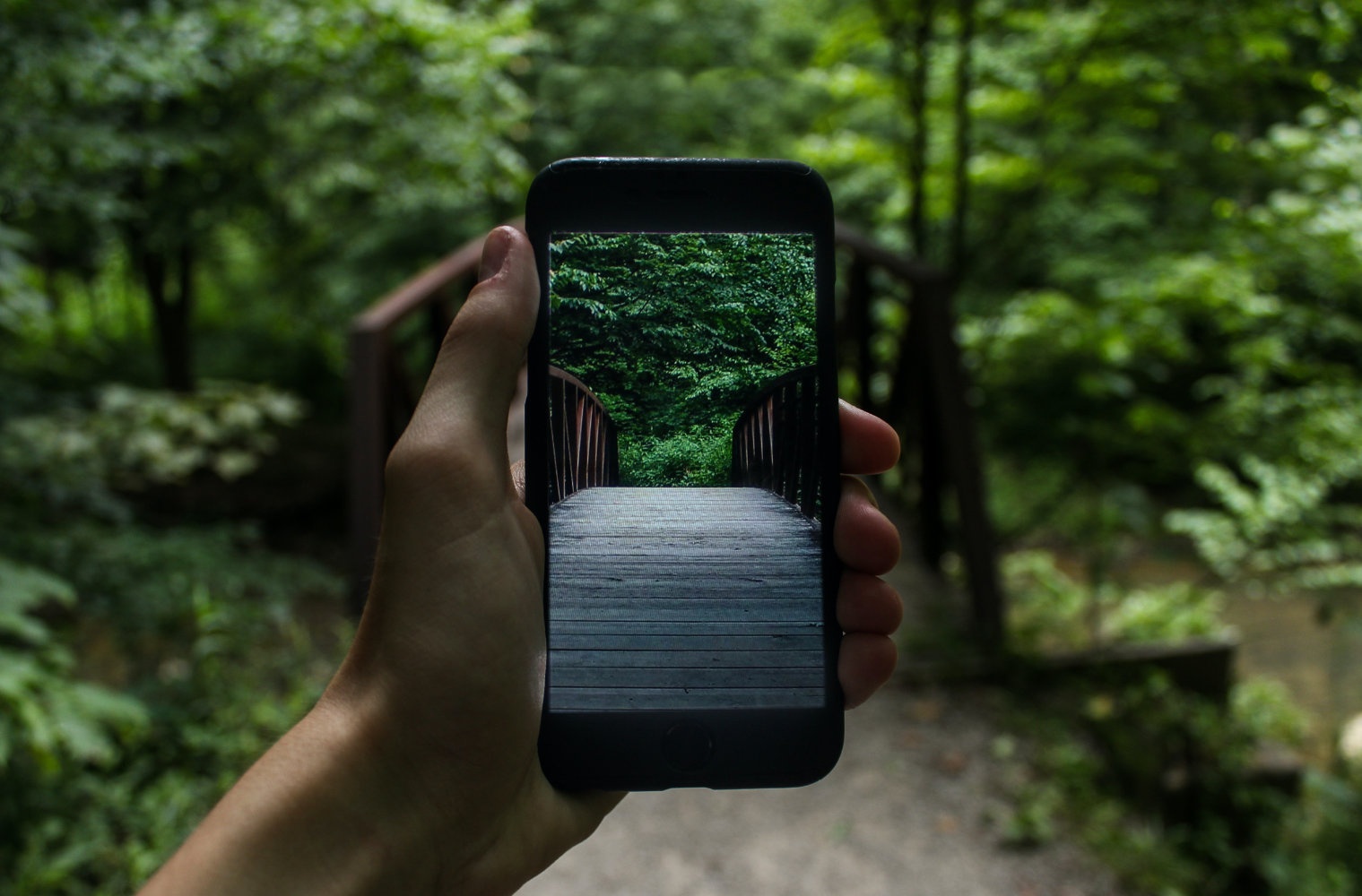 App Entwicklung